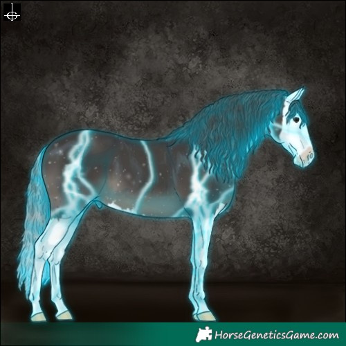 Horse Color:Thunderstruck Smoky Black Splash 