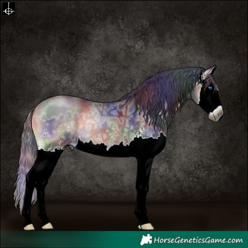 Horse Color:Gray Nacre Blue Onyx Ice Sabino Splash Rabicano 