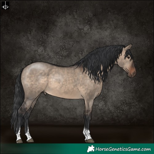 Horse Color:Brown Dun Tobiano 