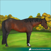 Horse Color:Brown 