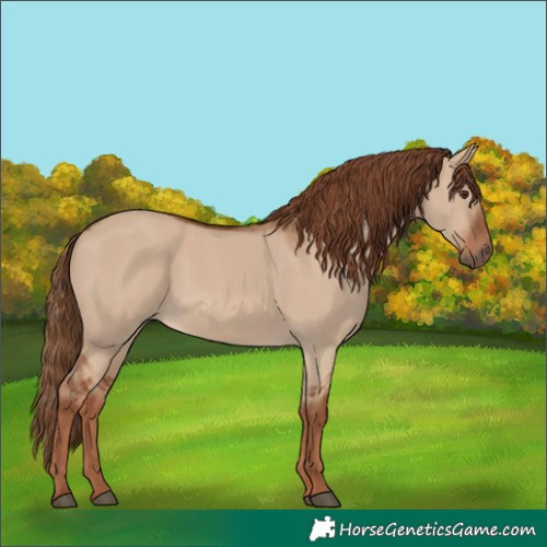Horse Color:Red Dun 