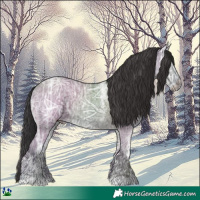Horse Color:Smoky Grullo Ice Rabicano 
