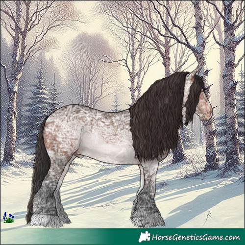 Horse Color:Brown Ice 