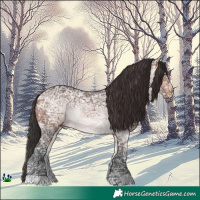 Horse Color:Brown Ice 