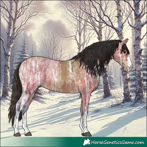 Horse Color:Bay Ice Rabicano