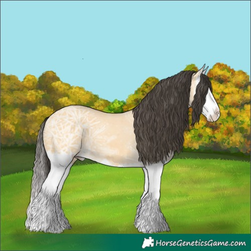 Horse Color:Buckskin Ice Splash 