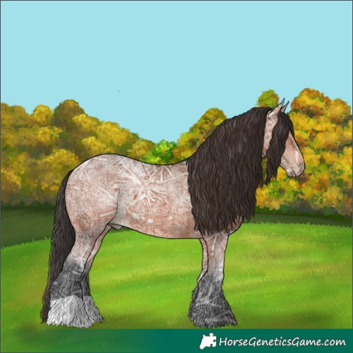 Horse Color:Bay Ice 