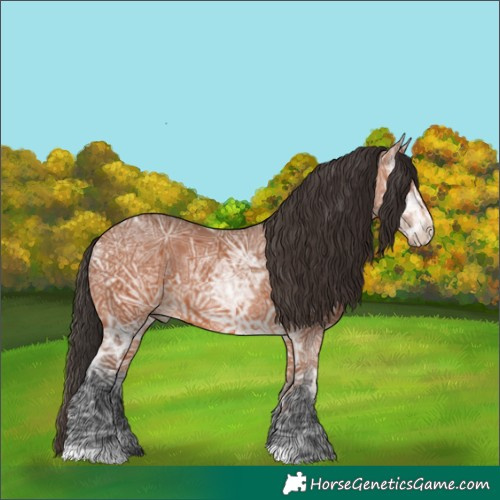 Horse Color:Bay Ice Rabicano 