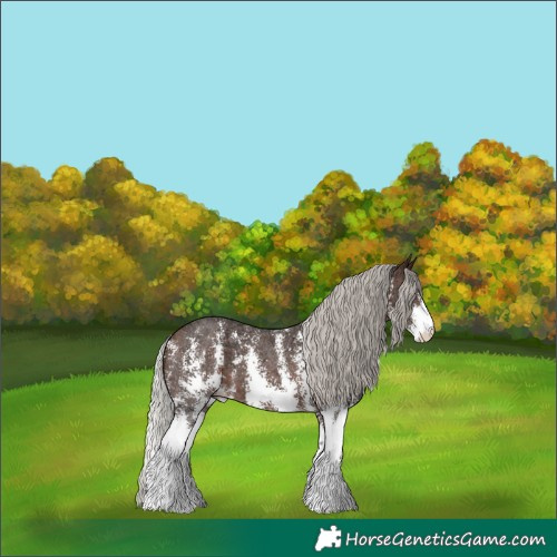Horse Color:Silver Brown Ice Sabino 