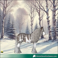 Horse Color:Silver Brown Ice Sabino 