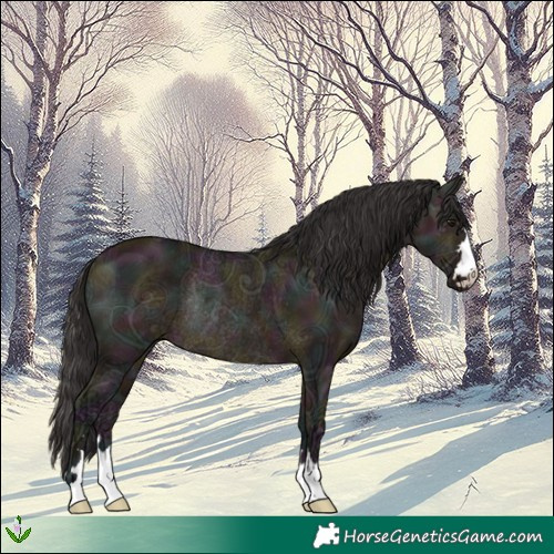 Horse Color:Midnight Bay Ice Dun Rabicano