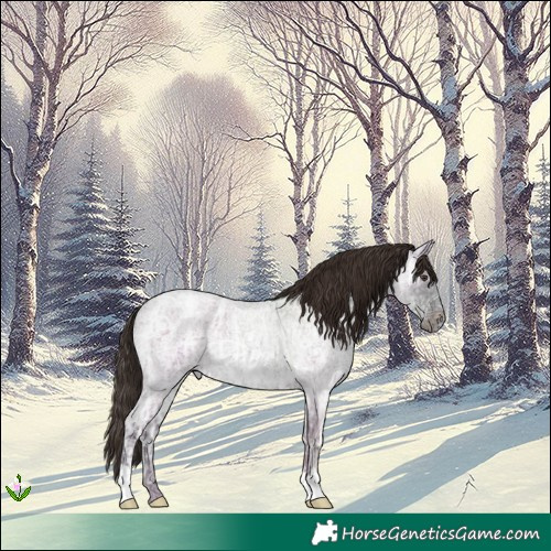 Horse Color:Liver Red Ice Roan Rabicano 