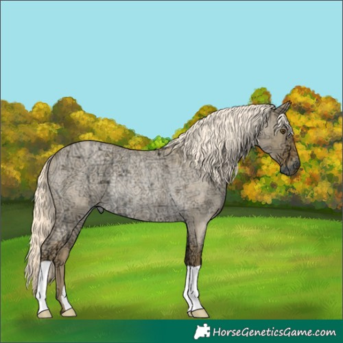 Horse Color:Palomino Ice Roan Dun Rabicano 