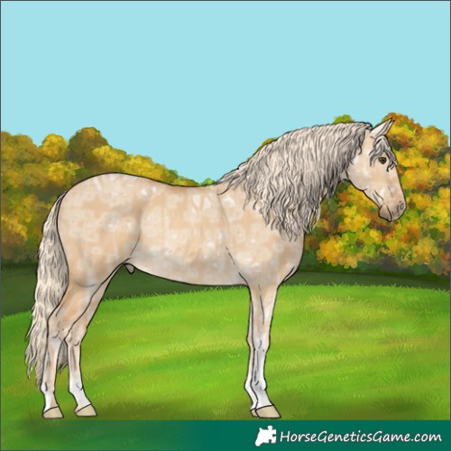 Horse Color:Palomino Ice Dun Rabicano 