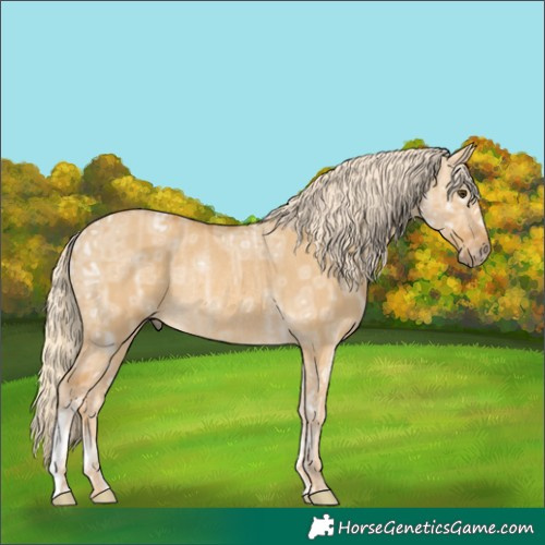 Horse Color:Palomino Ice Dun Rabicano 