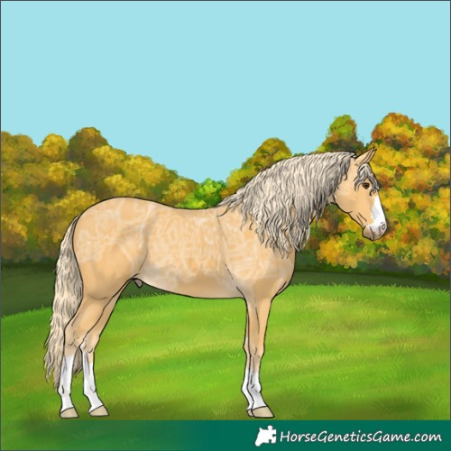 Horse Color:Palomino Ice 