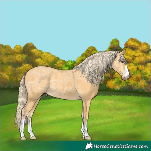 Horse Color:Palomino Ice 
