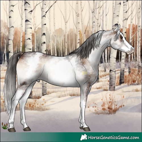 Horse Color:White Spotted Liver Red Onyx Splash 