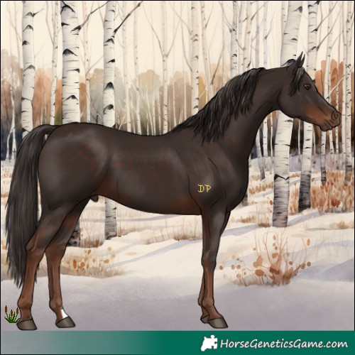 Horse Color:Liver Chestnut 