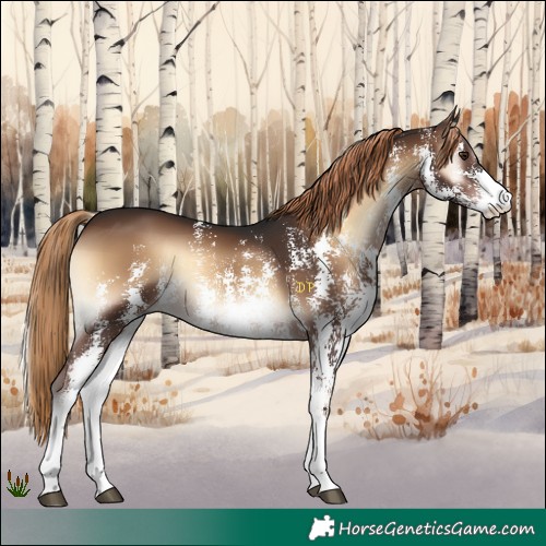 Horse Color:Liver Red Onyx Sabino 