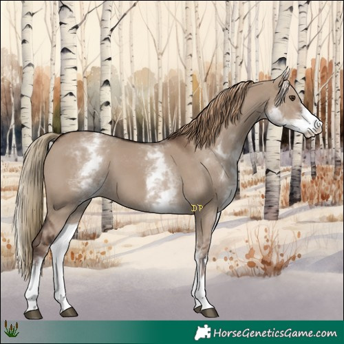 Horse Color:White Spotted Liver Red Dun
