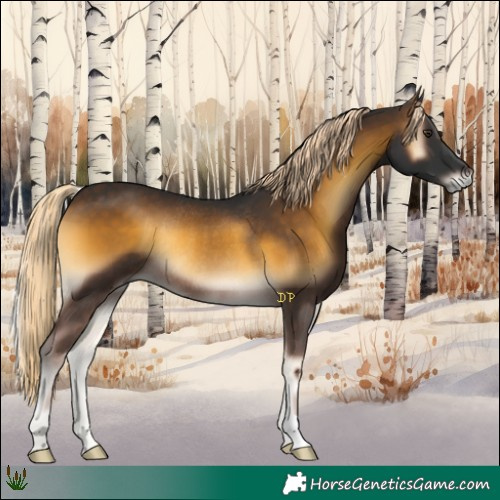 Horse Color:Chocolate Palomino Onyx Rabicano 