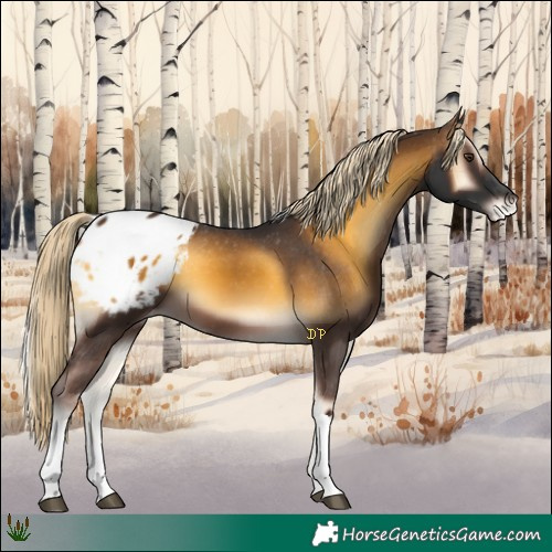 Horse Color:Chocolate Palomino Onyx Tobiano Appaloosa