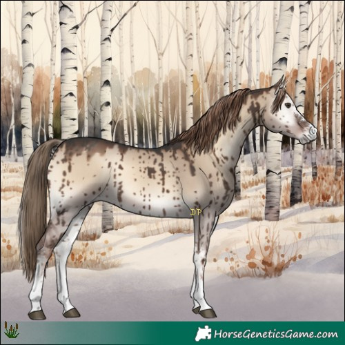 Horse Color:Liver Red Dun Onyx Sabino Brindle 