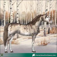 Horse Color:Liver Red Dun Onyx Sabino Brindle