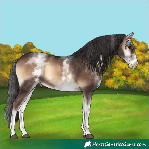 Horse Color:White Spotted Liver Red Onyx 