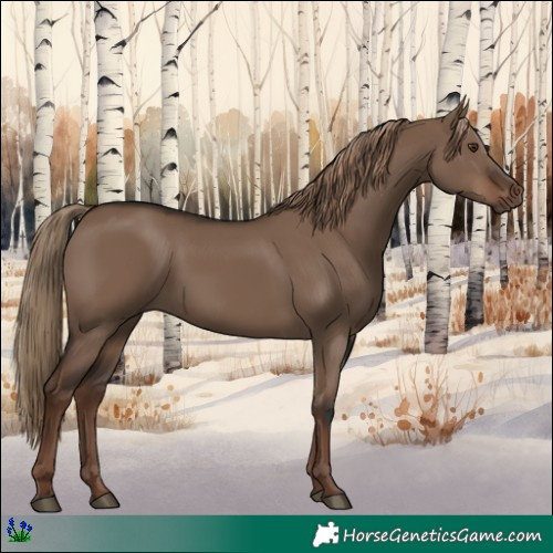Horse Color:Liver Red Dun 