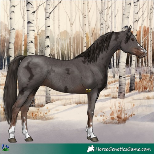 Horse Color:Liver Chestnut Ice Rabicano 