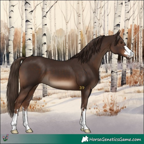 Horse Color:Liver Chestnut 