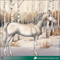 Horse Color:Cremello Onyx 