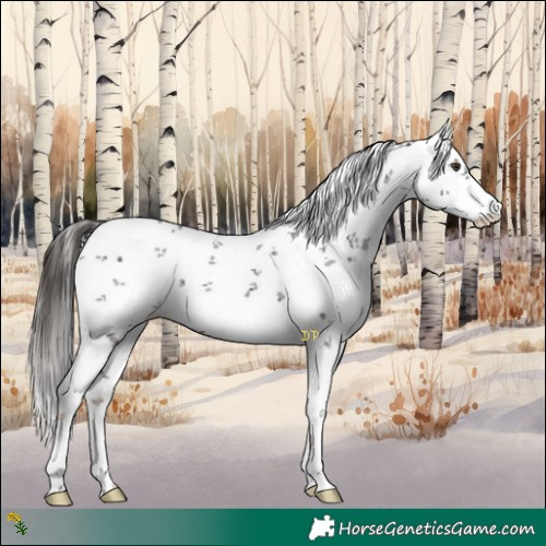 Horse Color:White Spotted Liver Chestnut Sabino