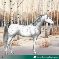 Horse Color:White Spotted Liver Chestnut Sabino 
