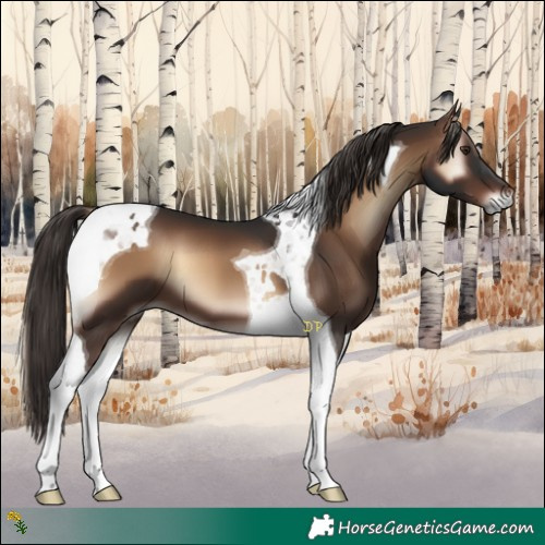 Horse Color:Liver Red Onyx Tobiano