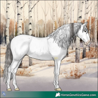 Horse Color:Liver Red Onyx Sabino Splash Appaloosa 