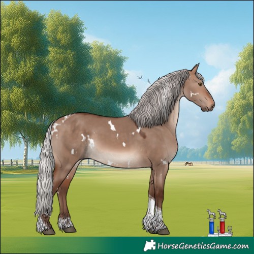 Horse Color:White Spotted Silver Brown Dun Mushroom Tobiano 