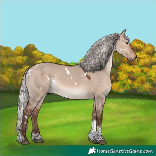 Horse Color:White Spotted Silver Brown Dun Mushroom Tobiano 