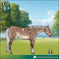 Horse Color:White Spotted Silver Brown Dun Mushroom Tobiano 