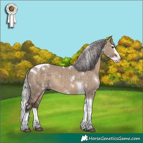 Horse Color:White Spotted Silver Brown Dun Splash Tobiano 