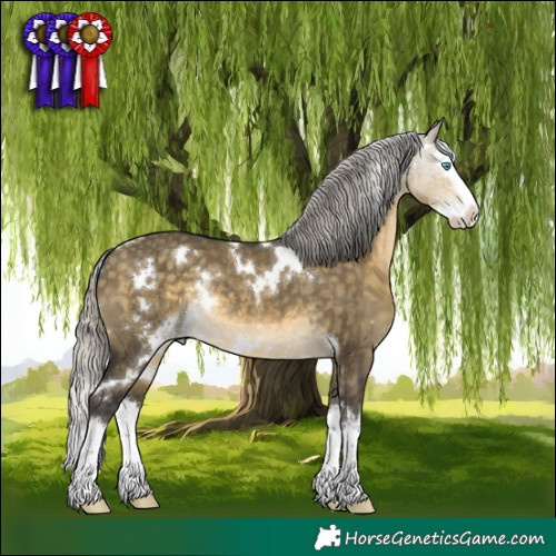 Horse Color:White Spotted Silver Buckskin Dun Mushroom Splash Rabicano 