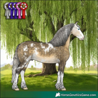 Horse Color:White Spotted Silver Buckskin Dun Mushroom Splash Rabicano 
