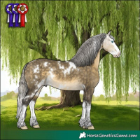 Horse Color:White Spotted Silver Buckskin Dun Mushroom Splash Rabicano 