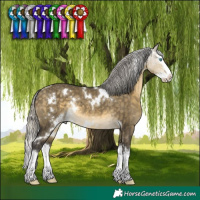 Horse Color:White Spotted Silver Buckskin Dun Mushroom Splash Rabicano 