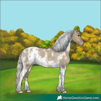 Horse Color:White Spotted Silver Smoky Grullo Tobiano Appaloosa 
