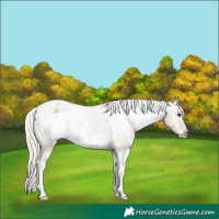 Horse Color:White Spotted Silver Smoky Grullo Tobiano Varnish 