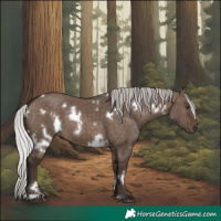 Horse Color:White Spotted Silver Brown Dun Mushroom