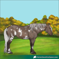 Horse Color:White Spotted Silver Brown Dun Mushroom 